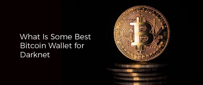 best bitcoin wallet for darknet
