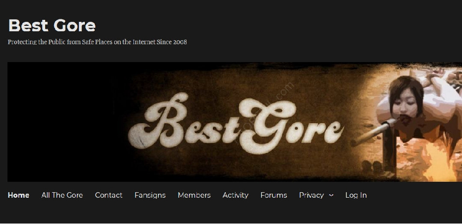 What if the Sites Like Bestgore are Blocked?